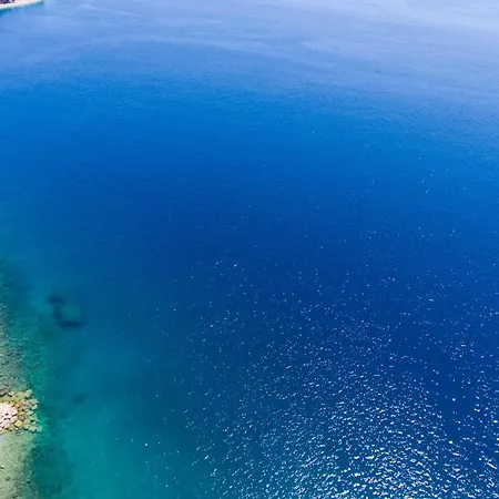 Jadranko Daire Brela